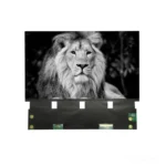 10.1 Inch 5K Mono LCD Screen | 4920x2880 eDP 3D Printer Display