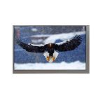7-inch 800x480 IPS TTL Replacement LCD Module DBT070AVN40R035C: 350cd/m² Anti-Glare - Image 4