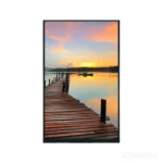 10.1 Inch MIPI TFT LCD Module 800x1280 IPS Portrait Display