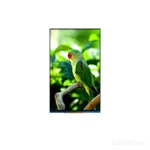7 Inch MIPI LCD Display (800x1280) – IPS Portrait Mode 40-Pin