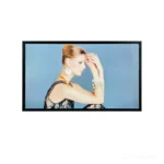 32 Inch High Brightness LCD Module (1920x1080 FHD)