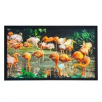 32 Inch 1000 Nits Touch Monitor | FHD Outdoor LCD Display