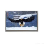 7 Inch IPS LCD Screen 800x480 Replacement