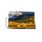 7 Inch Anti-Glare High Brightness LCD Module 1000 nits Wide Temp -30°C~85°C
