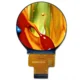 2.1 inch Round TFT LCD Display 480x480 MIPI front LCD module product view