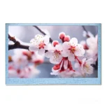 4.3 Inch TFT for Embedded HMI 350 nits RGB Interface