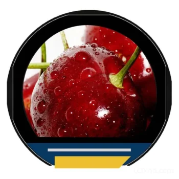 round TFT display for smart appliance control dials - front product view