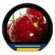 round TFT display for smart appliance control dials - front product view