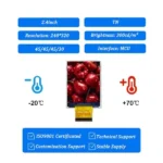 2.4 Inch TFT LCD Module for Instrument Display Panels