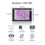 BOE EV116FHM-N10 11.6 Inch 1920x1080 TFT LCD Panel