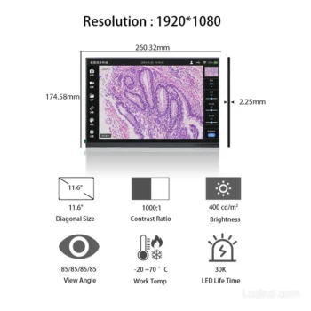 BOE EV116FHM-N10 11.6 Inch 1920x1080 TFT LCD Panel