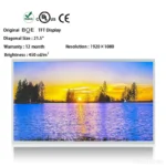 BOE GV215FHM-N10 21.5 Inch 1920x1080 TFT LCD Panel